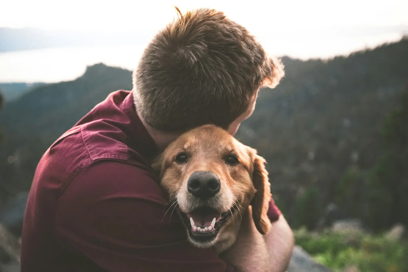 Köpeğine sevgiyle sarılan hasta sahibi